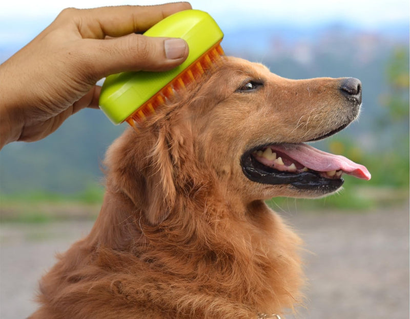 Steam grooming brush being used on a golden retriever