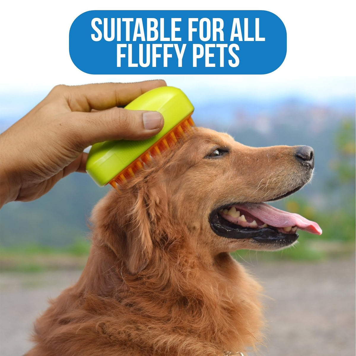Steam grooming brush being used on a golden retriever